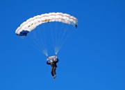 熊猫直播APP-温网鏖战法网，德约科维奇如何扛起全队的荣耀与重担