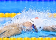 熊猫直播平台-联合杯完胜拉沃尔杯，德约科维奇的关键制胜与网球新格局