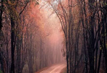 熊猫体育在线-唯一解法，当爵士的战术齿轮碾过篮网，米切尔是那根永不松动的轴